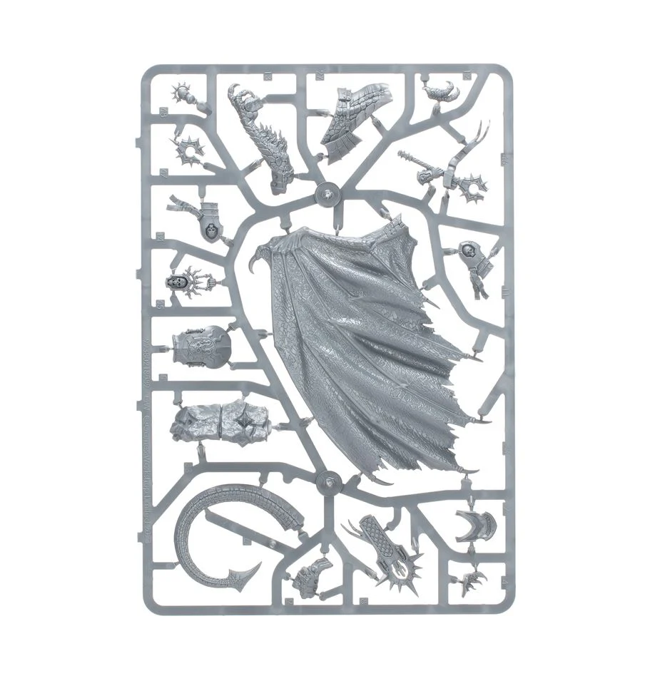 Age of Sigmar: Stormcast Eternals: Ionus Cryptborn - Image 5