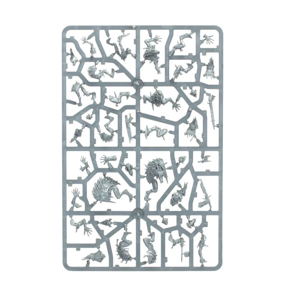Age of Sigmar: Warcry: Royal Beastflayers Warband - Image 4