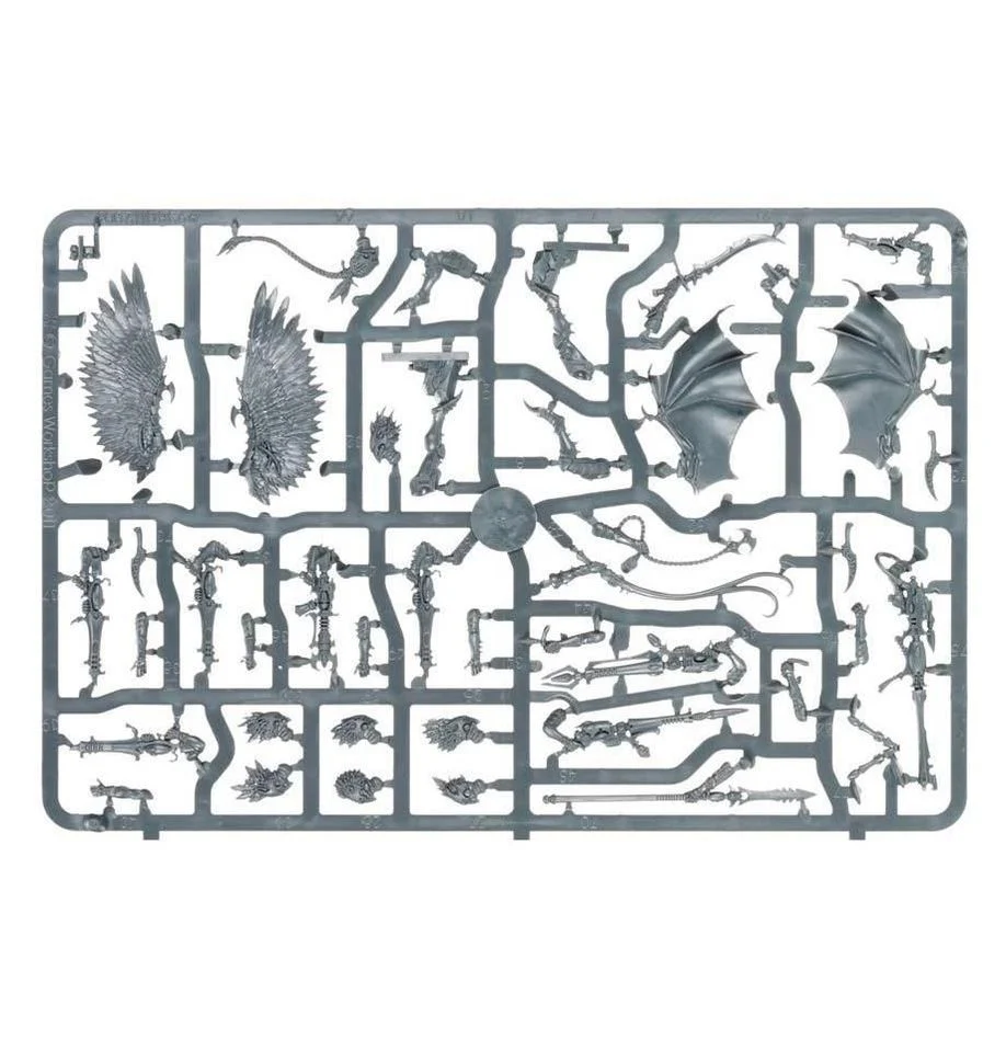 Warhammer 40,000: Drukhari Scourges 2021 - Image 3