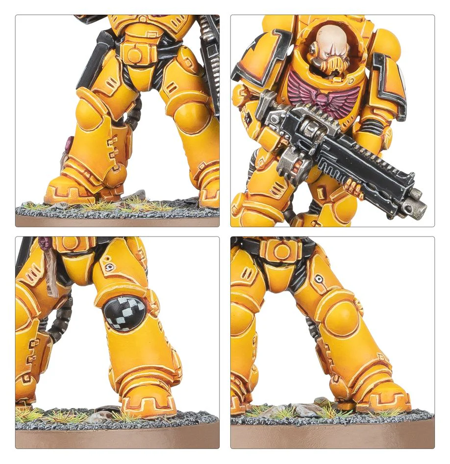 Warhammer 40,000: Imperial Fists - Combat Patrol: Imperial Fists - Image 9