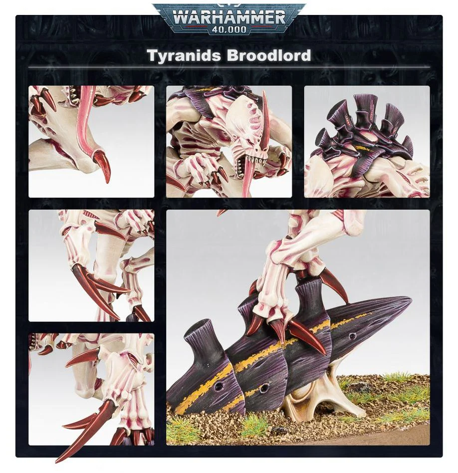 Warhammer 40,000: Tyranids: Broodlord - Image 5